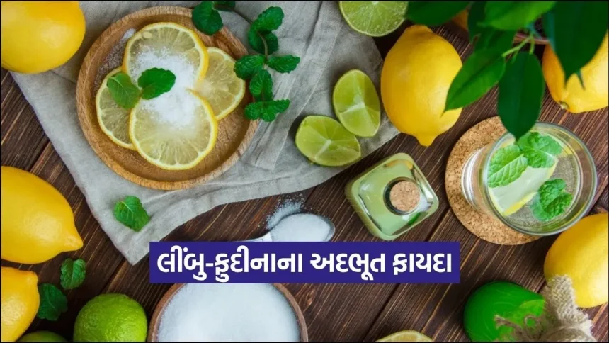 લીંબુ અને ફુદીનો સાથે ખાવાના ફાયદા જાણીને તમે પણ ચોંકી જશો! શરીરને ડિટોક્સ કરવા માટે આ છે સૌથી બેસ્ટ દેશી નુસખું 1 dharmishtha 1 20.jpg.webp