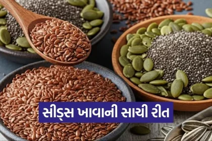 dharmishtha 1 2026 03 09T161842.434.jpg.webp