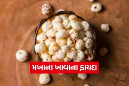 dharmishtha 1 2026 03 10T165543.195.jpg.webp