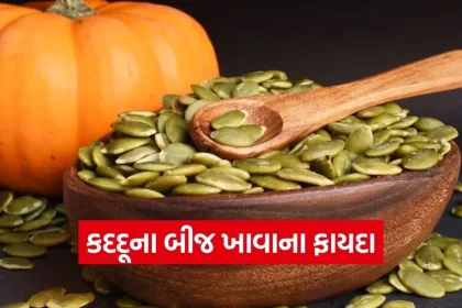 dharmishtha 1 2026 03 11T151029.076.jpg.webp
