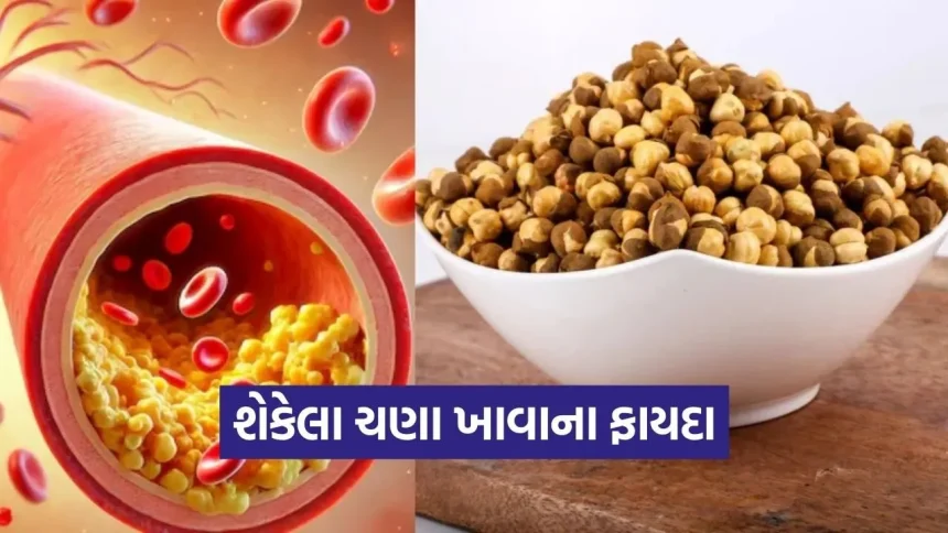 કોલેસ્ટ્રોલ અને ડાયાબિટીસ ઘટાડવા ખાઓ શેકેલા ચણા, જાણો તેના અદ્ભુત ફાયદા 1 dharmishtha 1 2026 03 11T151509.130.jpg.webp