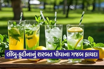 dharmishtha 1 2026 03 11T162702.967.jpg.webp
