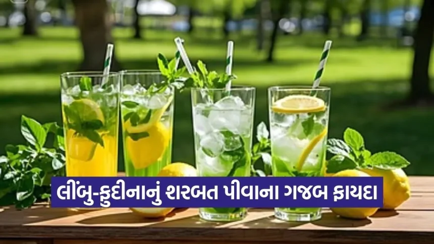 લીંબુ-ફુદીનાનું શરબત પીવાના ગજબ ફાયદા, ગરમીમાં એનર્જી માટે છે બેસ્ટ ડ્રિંક 1 dharmishtha 1 2026 03 11T162702.967.jpg.webp