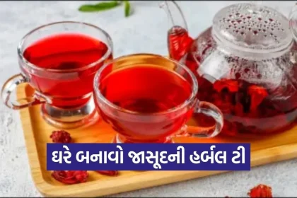 dharmishtha 1 2026 03 13T171537.982.jpg.webp