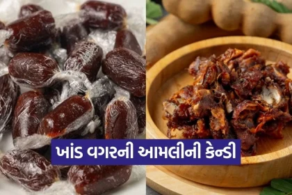 dharmishtha 1 2026 03 16T173104.978.jpg.webp
