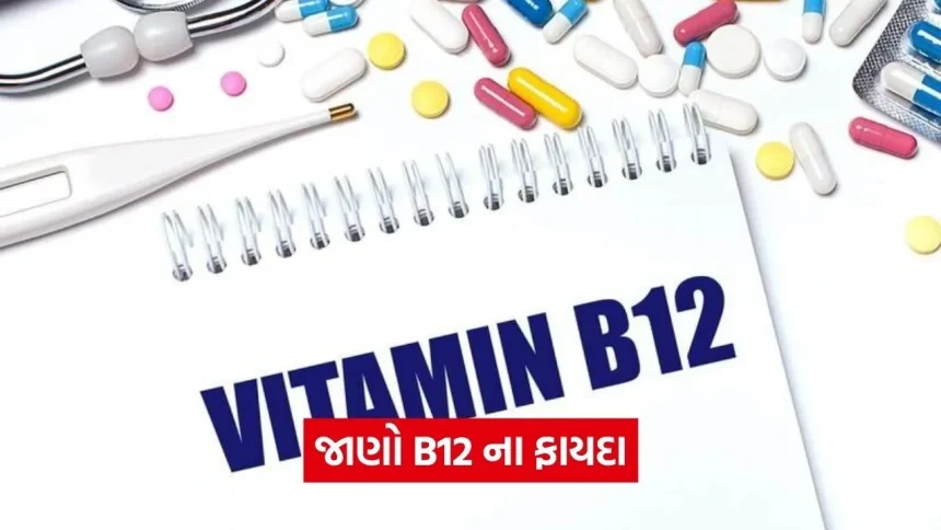 શું તમારા શરીરમાં વિટામિન B12 ની કમી છે? આ રહી એક ચમત્કારી પીળી વસ્તુ જે શાકાહારીઓ માટે વરદાન સાબિત થશે 1 dharmishtha 1 2026 03 18T160341.144.jpg.webp
