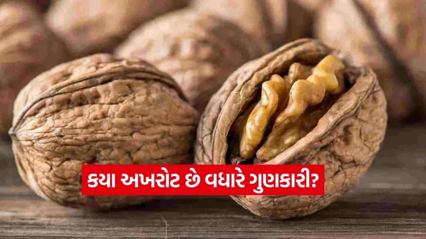 અખરોટની પસંદગીમાં ન થાઓ કન્ફ્યુઝ! જાણો કાશ્મીરી અને કેલિફોર્નિયા અખરોટમાં શું છે તફાવત 1 dharmishtha 1 6.jpg.webp