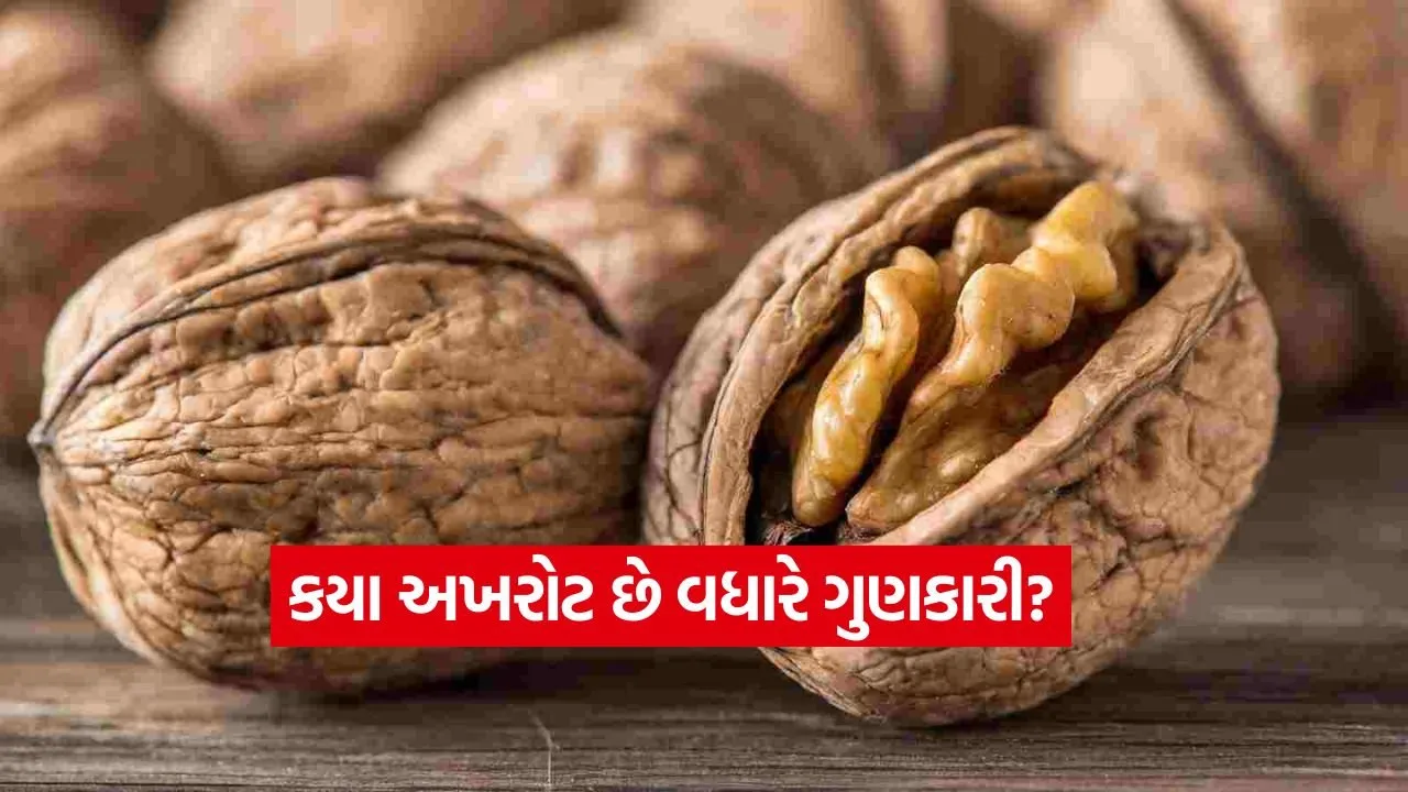 અખરોટની પસંદગીમાં ન થાઓ કન્ફ્યુઝ! જાણો કાશ્મીરી અને કેલિફોર્નિયા અખરોટમાં શું છે તફાવત