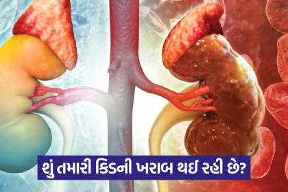 kidney 43.jpg.webp