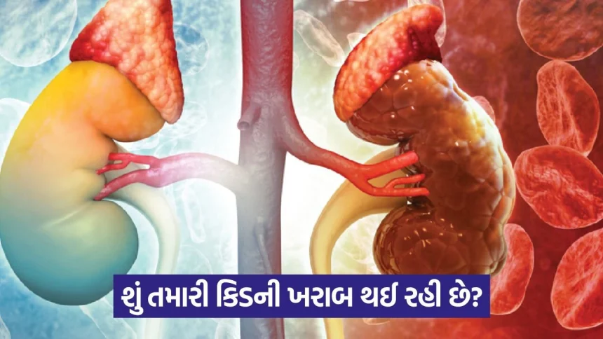 kidney 43.jpg.webp