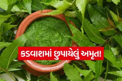 neem leves.jpg.webp