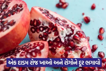 pomrgranate 13.jpg.webp