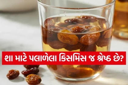 raisins 0903.jpg.webp
