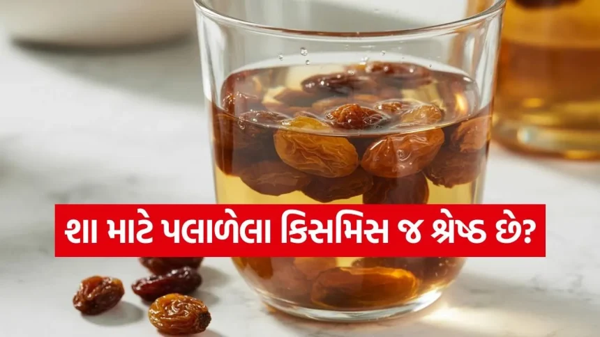 સવારે પલાળેલા કિસમિસ ખાવાથી થતા ૫ મોટા સ્વાસ્થ્ય લાભ 1 raisins 0903.jpg.webp