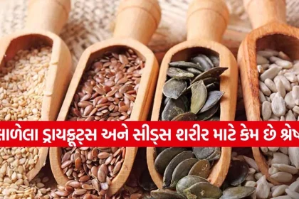 seeds 0903.jpg.webp