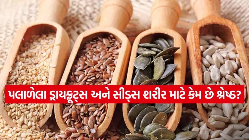 ચિયા સીડ્સથી લઈને બદામ સુધી: ખાતા પહેલા કેટલા કલાક પલાળવા જોઈએ? 1 seeds 0903.jpg.webp