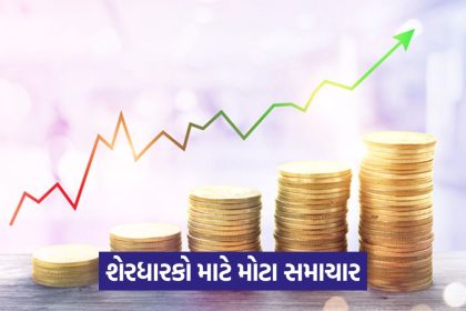 shares 365