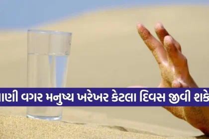 water 1403.jpg.webp