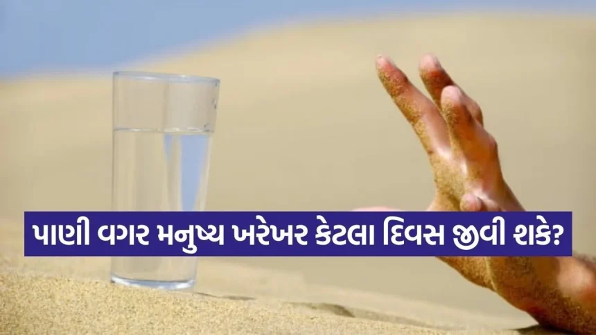 પાણી વગર મનુષ્ય કેટલા દિવસ ટકી શકે? જાણો તબીબી વિજ્ઞાનનો જવાબ 1 water 1403.jpg.webp