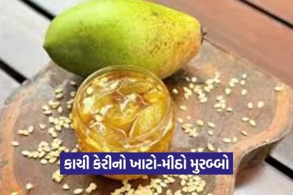 1775081137 dharmishtha 1 23.jpg.webp