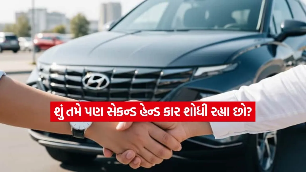 1775255054 dharmishtha 1 16.jpg.webp