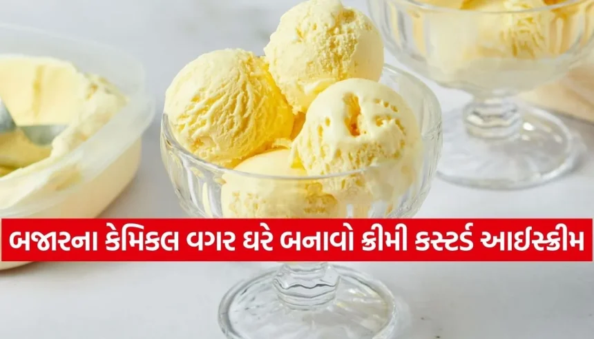 ઉનાળાની ગરમીમાં ઘરે જ બનાવો બજાર જેવો ક્રિમી આઈસ્ક્રીમ 1 1775370138 Copy of Satya web temp 19.jpg.webp
