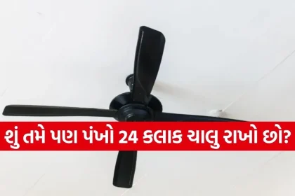 1775542474 Copy of Satya web temp 17.jpg.webp