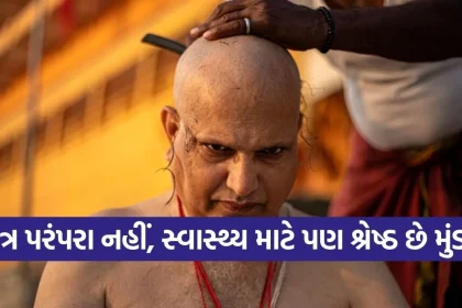 1775542850 Copy of Satya web temp 18.jpg.webp
