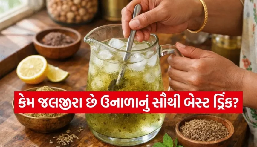 ઉનાળાની ગરમીમાં અમૃત સમાન છે આ ‘સ્પેશિયલ જલજીરા’, બ્લોટિંગ અને ગેસની સમસ્યા થશે ગાયબ! 1 1775543134 Copy of Satya web temp 16.jpg.webp