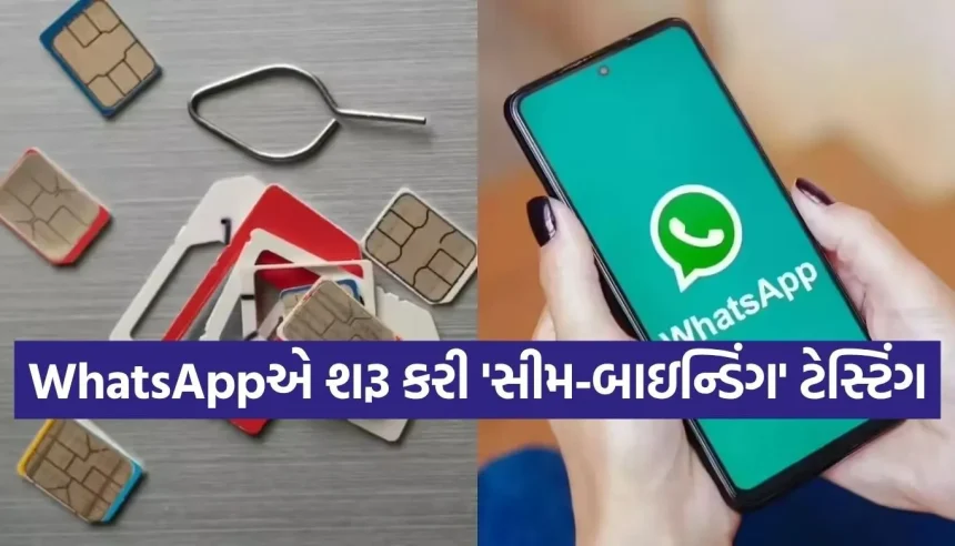 હવે સીમ વગર નહીં ચાલે WhatsApp! સરકારે બદલ્યા નિયમો, જાણો શું થશે તમારા એકાઉન્ટનું? 1 1775630255 Copy of Satya web temp 15.jpg.webp