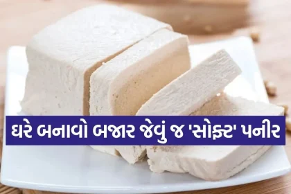 1775658529 Copy of Satya web temp 22.jpg.webp