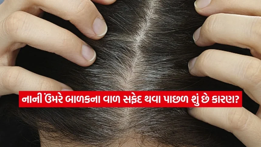 1775658695 dharmishtha 1 29.jpg.webp