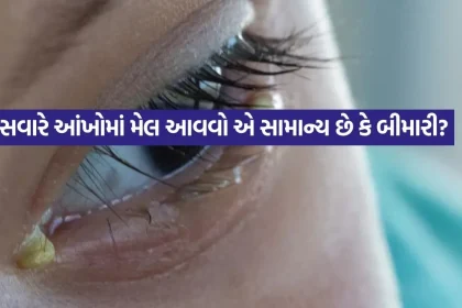 1775831966 dharmishtha 1 27.jpg.webp