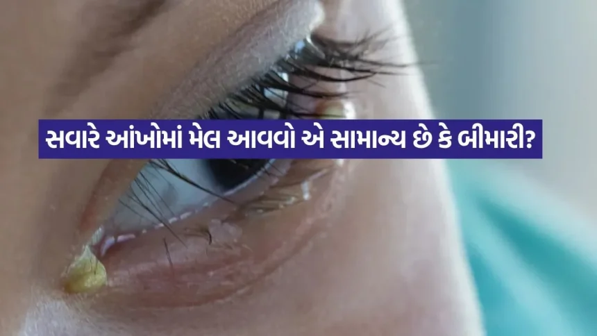 1775831966 dharmishtha 1 27.jpg.webp