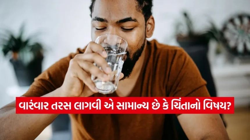 શું તમને પણ વારંવાર તરસ લાગે છે? ચેતી જજો, આ 5 ગંભીર બીમારીઓના હોઈ શકે છે સંકેત 1 1775832097 dharmishtha 1 24.jpg.webp