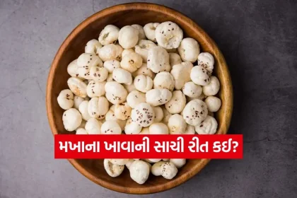 1775860847 dharmishtha 1 21.jpg.webp