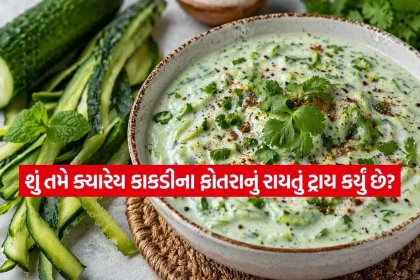 1776091497 dharmishtha 1 31.jpg.webp