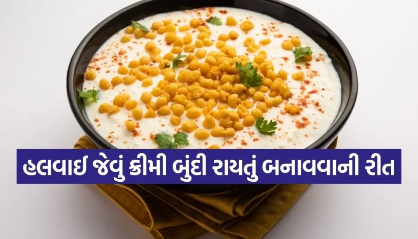 શું તમારા બુંદી રાયતામાં નથી આવતો હોટલ જેવો સ્વાદ? જાણો હલવાઈ ભાઈનો આ ‘સીક્રેટ’ મસાલો. 1 1776236144 Copy of Satya web temp 15.jpg.webp