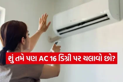 1776322904 Copy of Satya web temp 19.jpg.webp