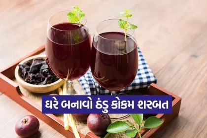 1776524434 dharmishtha 1 18.jpg.webp