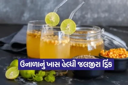 1776582162 dharmishtha 1 17.jpg.webp
