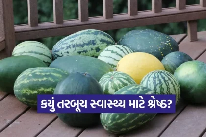 1776640182 dharmishtha 1 15.jpg.webp