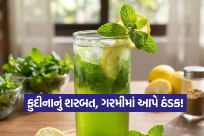 1776697784 dharmishtha 1 23.jpg.webp