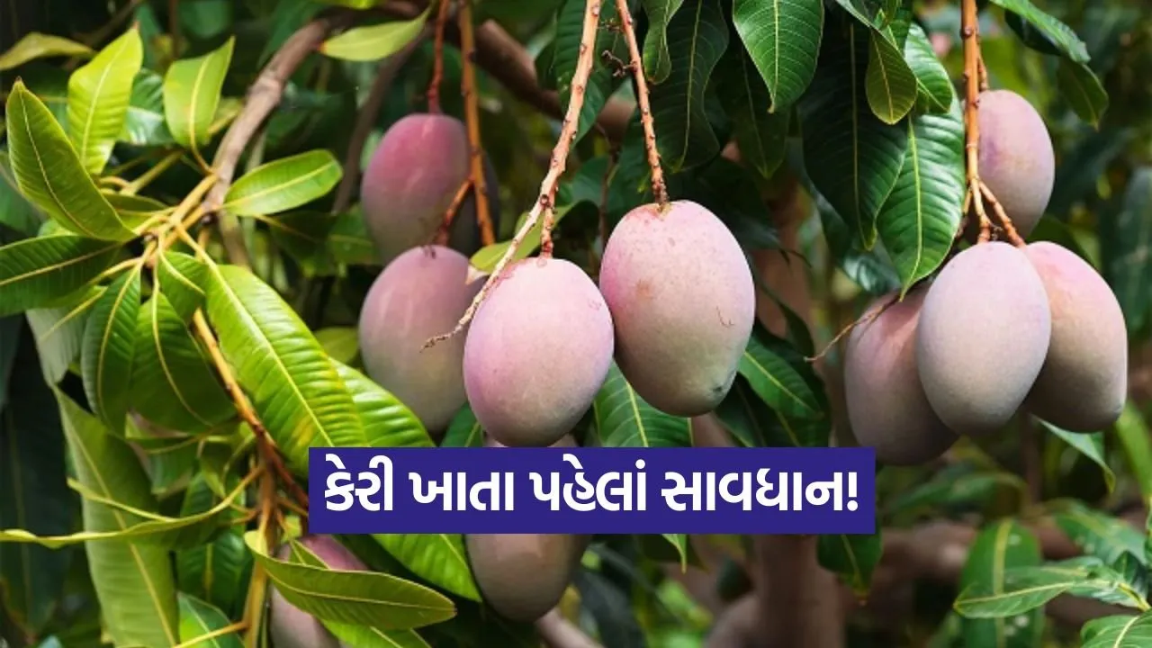 ગરમીમાં કેરી ખાતા પહેલા કેમ તેને પાણીમાં પલાળવી જોઈએ?