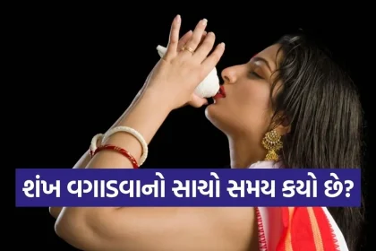 1776755160 Copy of Satya web temp 18.jpg.webp