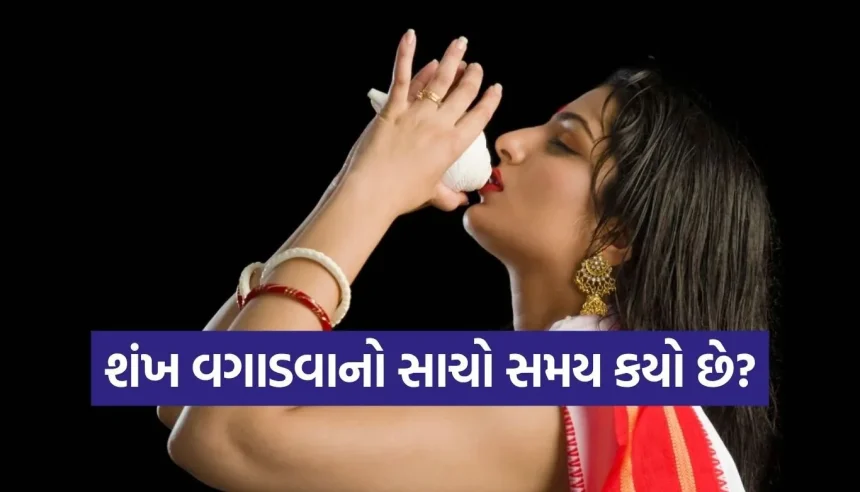 1776755160 Copy of Satya web temp 18.jpg.webp