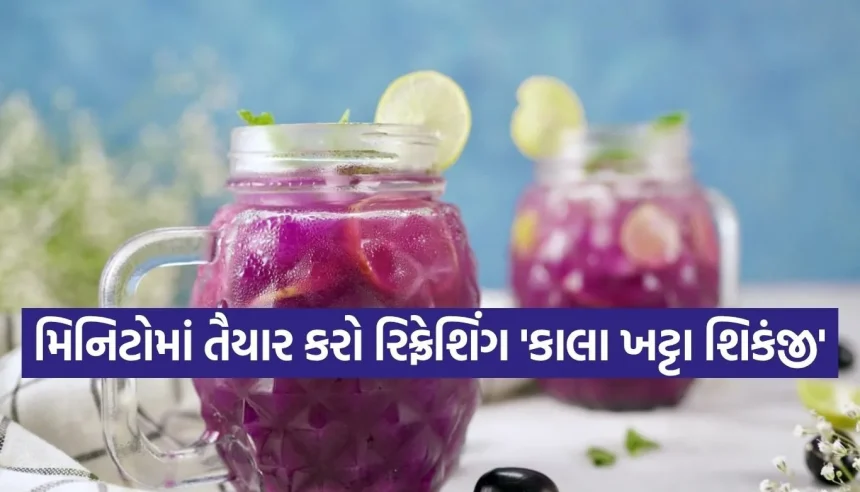 ઉનાળાને મજેદાર બનાવવા માટે પીવો ‘કાલા ખટ્ટા શિકંજી’ 1 1776899680 Copy of Satya web temp 29.jpg.webp