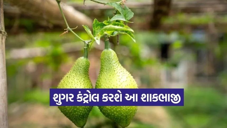 દુનિયાની સૌથી શક્તિશાળી શાકભાજી! જેના સેવનથી બ્લડ શુગર અને અનેક ગંભીર બીમારીઓ રહેશે કંટ્રોલમાં 1 1777044226 dharmishtha 1 20.jpg.webp