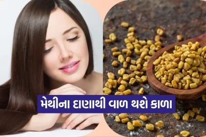 1777072970 dharmishtha 1 14.jpg.webp