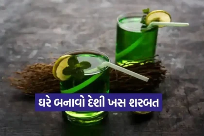 1777159658 Dharmishtha 15.jpg.webp